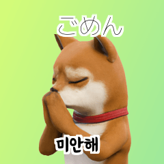 Shiba Inu Dog Big Stickers 40p tTq