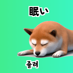 Shiba Inu Dog Big Stickers 40p q0r