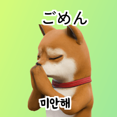 Shiba Inu Dog Big Stickers 40p _6h