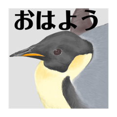 Kamiariduki_20221111151428