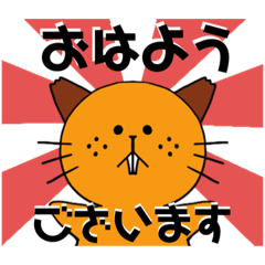 MOMOKO_20221111164831