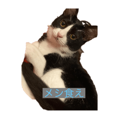 yuka_20221111165703