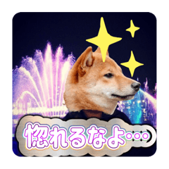 柴犬太郎ちゃんスタンプ