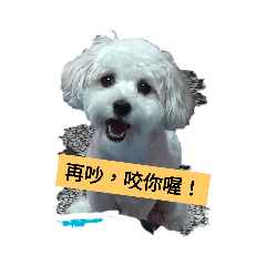 毛寶貝的日記
