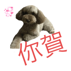 豆豆&球球的生活一