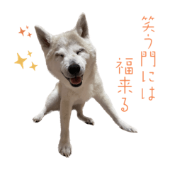 Shiho_20221112073536