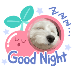 yuka_20221111190449