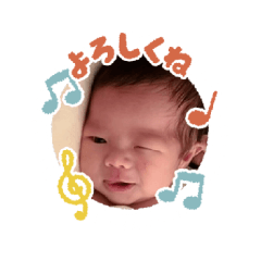 hikari_20221111191837