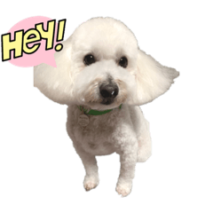 SHIHO_20221111201528