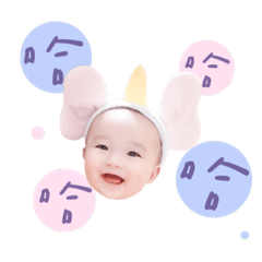 呆寶的日常