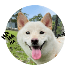 Doudou 荳