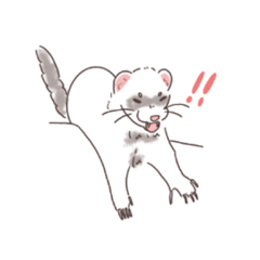 shiho_20221111220218