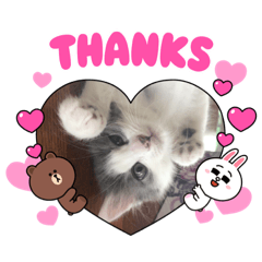 SUZU_20221111232934