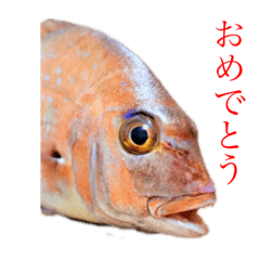 D_20221111234327