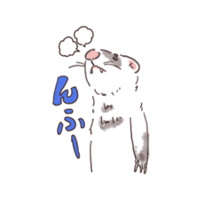 shiho_20221112010938