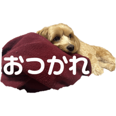 Tono_20221112103225