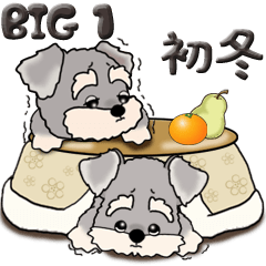 【Big】シュナウザー 1 『寒い季節に』