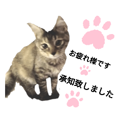 tomomi_20221111180104t