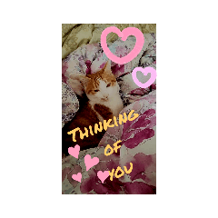 SMS sticker – Stickers LINE | LINE STORE