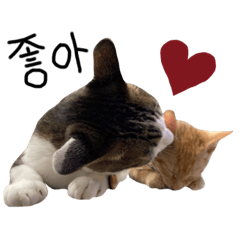 RIRIKA_20221112000509