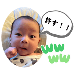 HIKARI_20221112120126