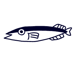 Sanma Fish