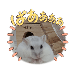 megumi_20221112155251