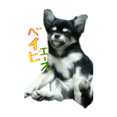 takuya_20221112160835