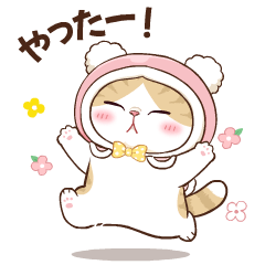Mhoowhan Cat : V. Japan
