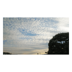 autumn blue sky scaly clouds mysterious