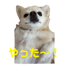 Mizuki_20221112192014