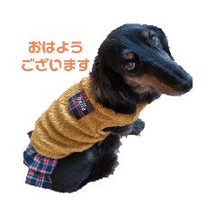 orangelb_20221112201021