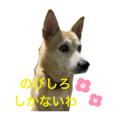 Akko_20221112210955