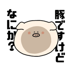 this is cute pig