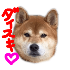 AOI_20221112224756