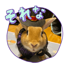 Hikaru_20221112232448