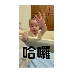 ·肉肉包·