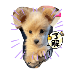 saya_20221113004010yuki