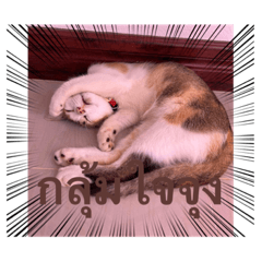 Linda_20221112183238