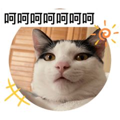 我是小歐練，小歐練是我