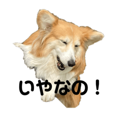 arisa_20221113170322