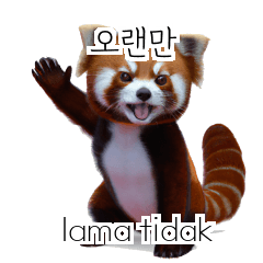 Red Panda Belajar Bahasa Korea 40P uMJ