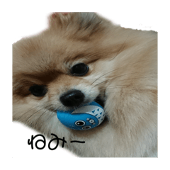 MOKOTANMOKO