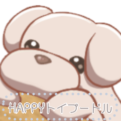 Happy Toy poodle message