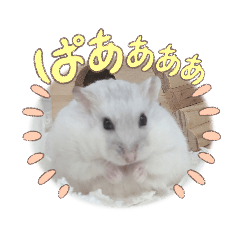 megumi_20221113165048