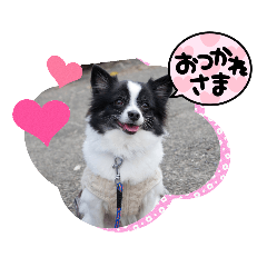 hanamama_20221113210446