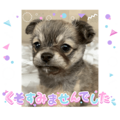 yuto_20221113172409