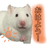 kurumunn_20221113173725