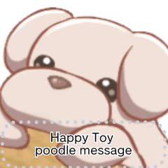 Happy Toy poodle message..