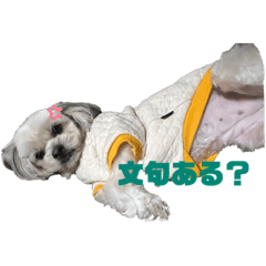 yuka_20221114010612